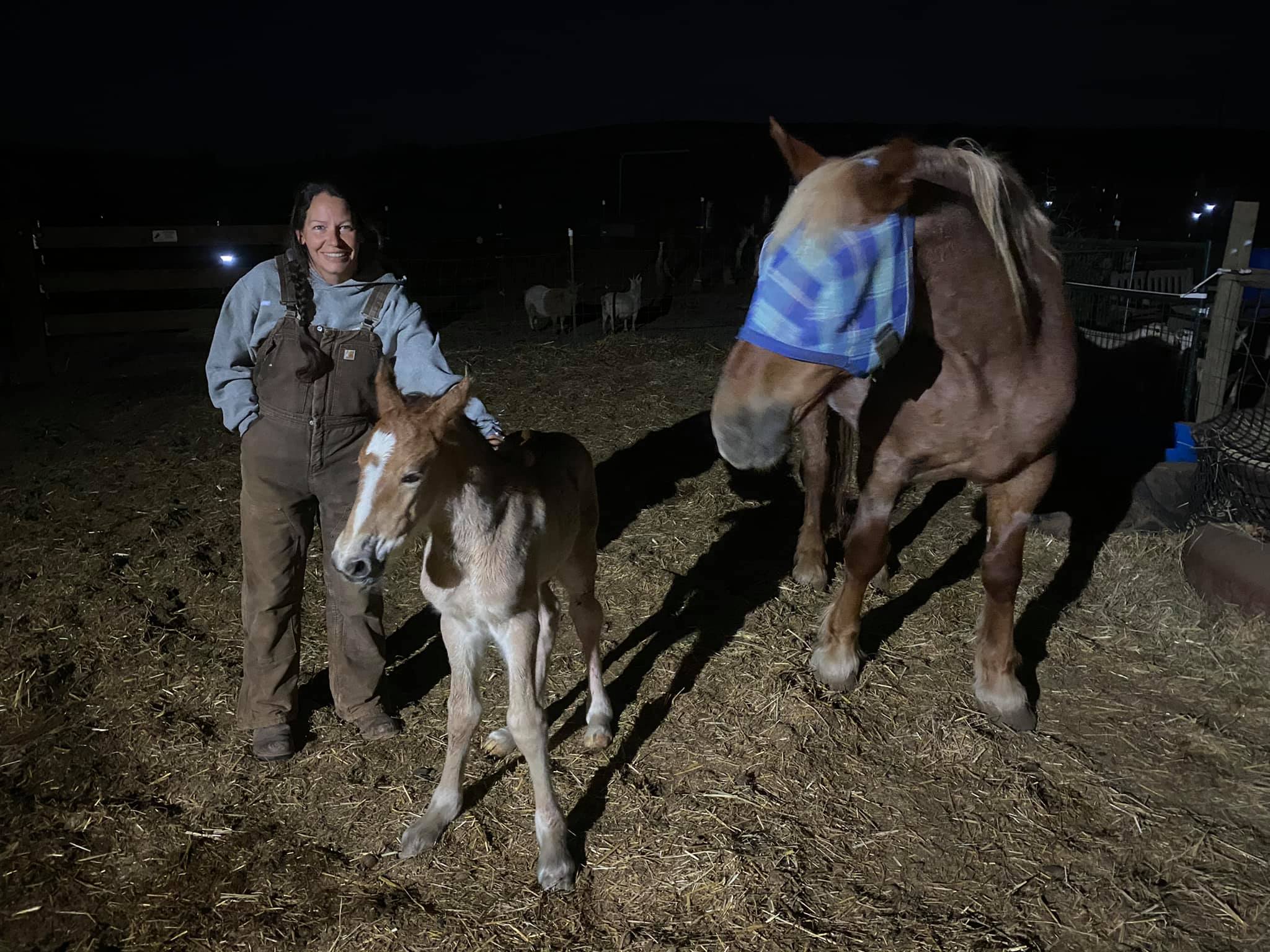 Raise A Glass Ranch added a new photo. - Raise A Glass Ranch