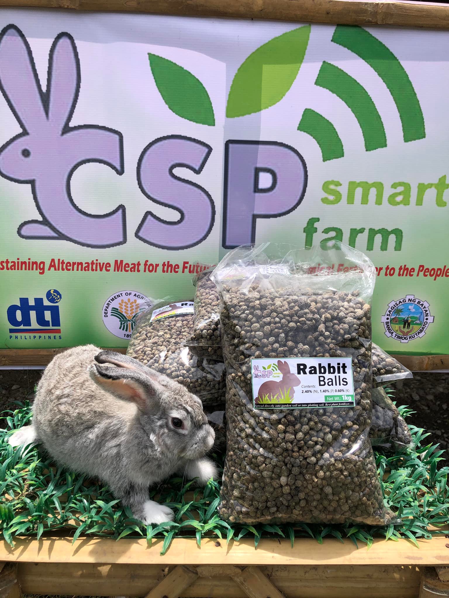 CSP Smart Rabbitry