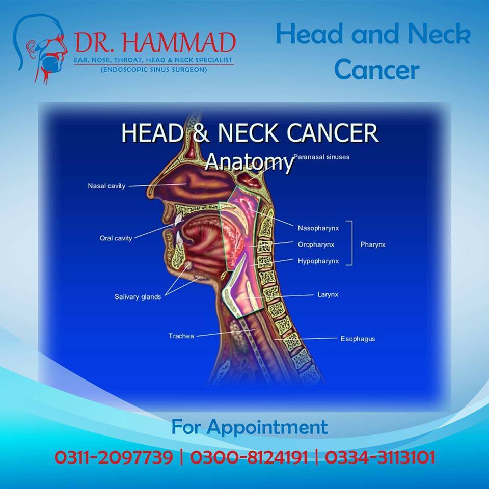 Some common... - Dr. Hammad - ENT, Head & Neck Specialist | Facebook