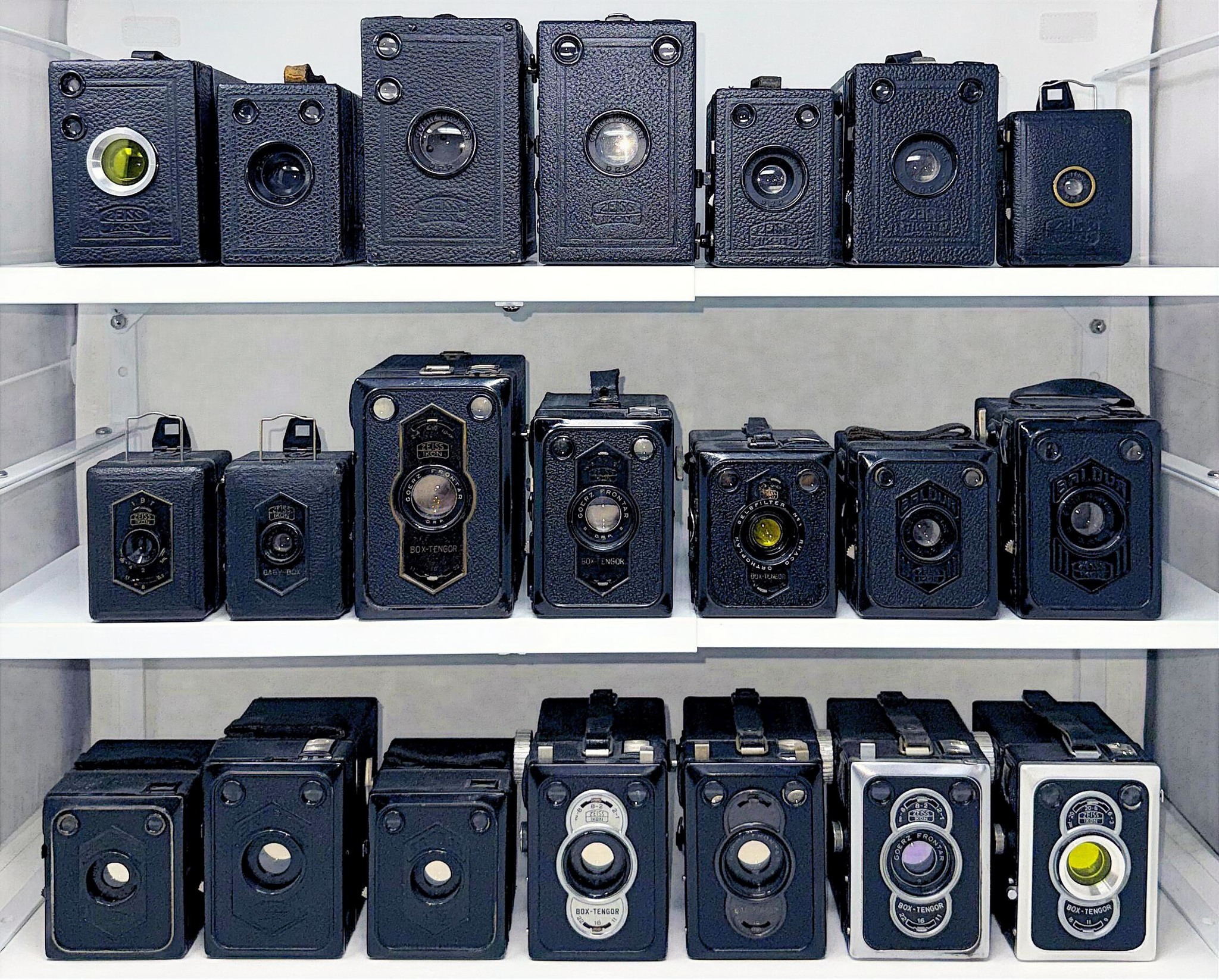 Zeiss Ikon Box Tengor camera history