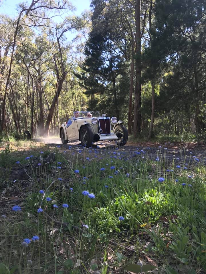 primotipo.com - David Mottram and Bruce Rodgers, MG TC,... | Facebook