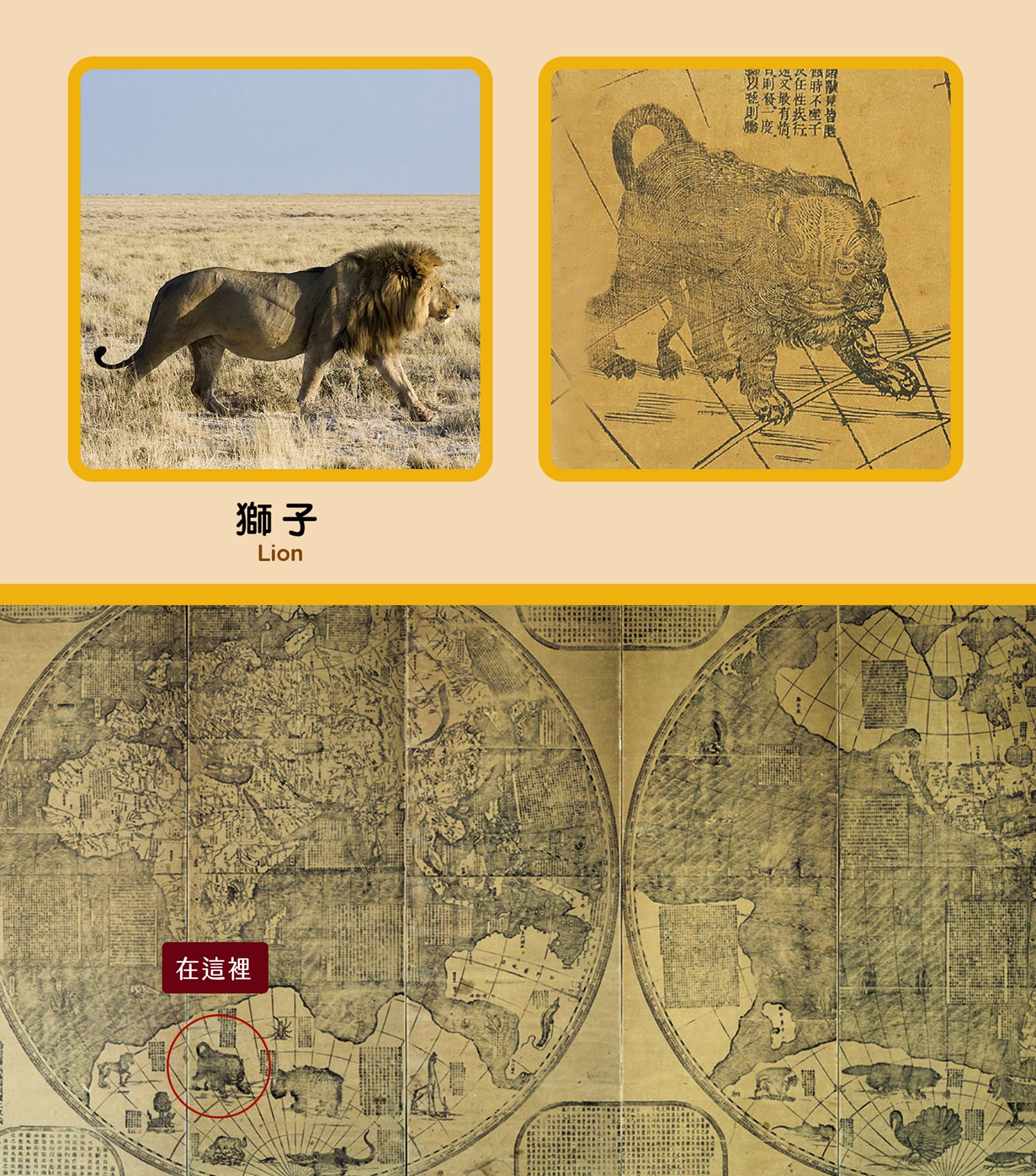 國立故宮博物院- 坤輿全圖動物大觀園—獅子篇我們暫時不出國，來看皇帝