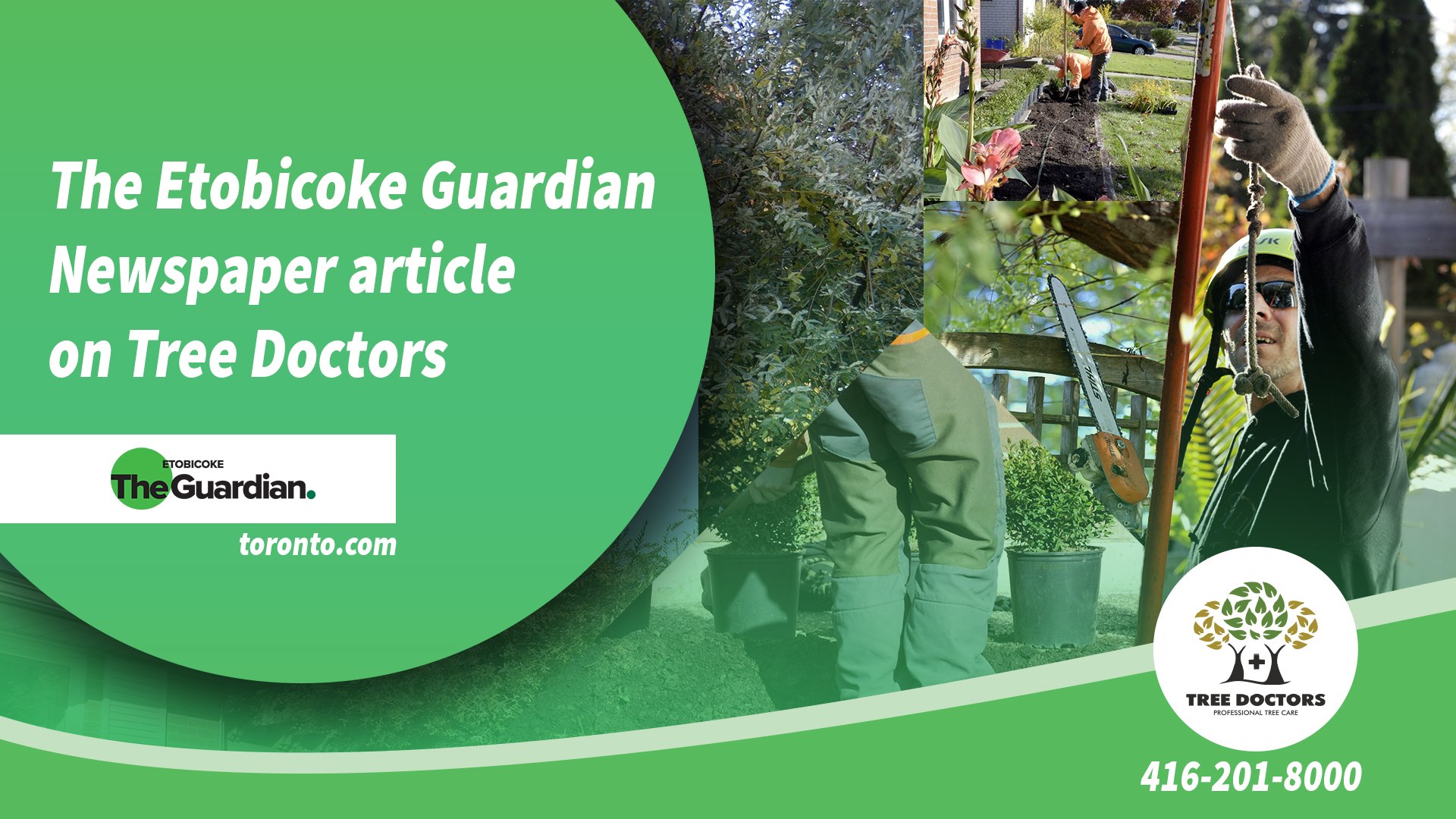 Our expert arborists at Tree Doctors... - Tree Doctors Inc