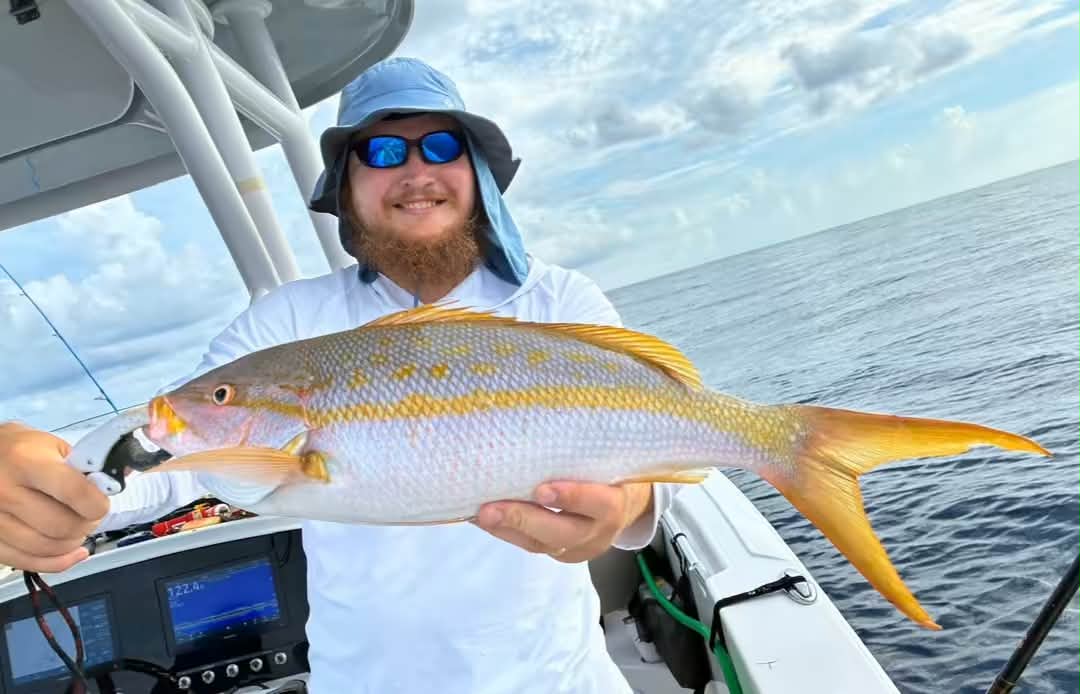 Biggest yellowtail snapper in SWFL are on fire right now | Florida