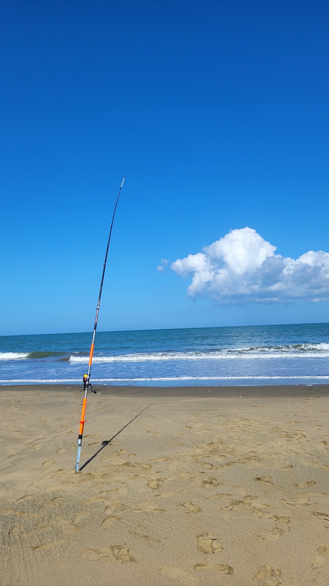 cannon fishing pole TRACK 6