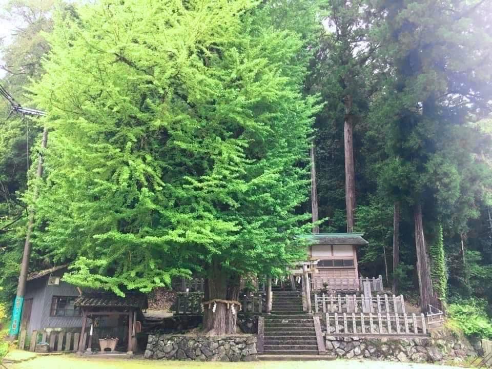 古代木造寺社建築に用いられた「鉄くぎ」** 現存最古の飛鳥時代の