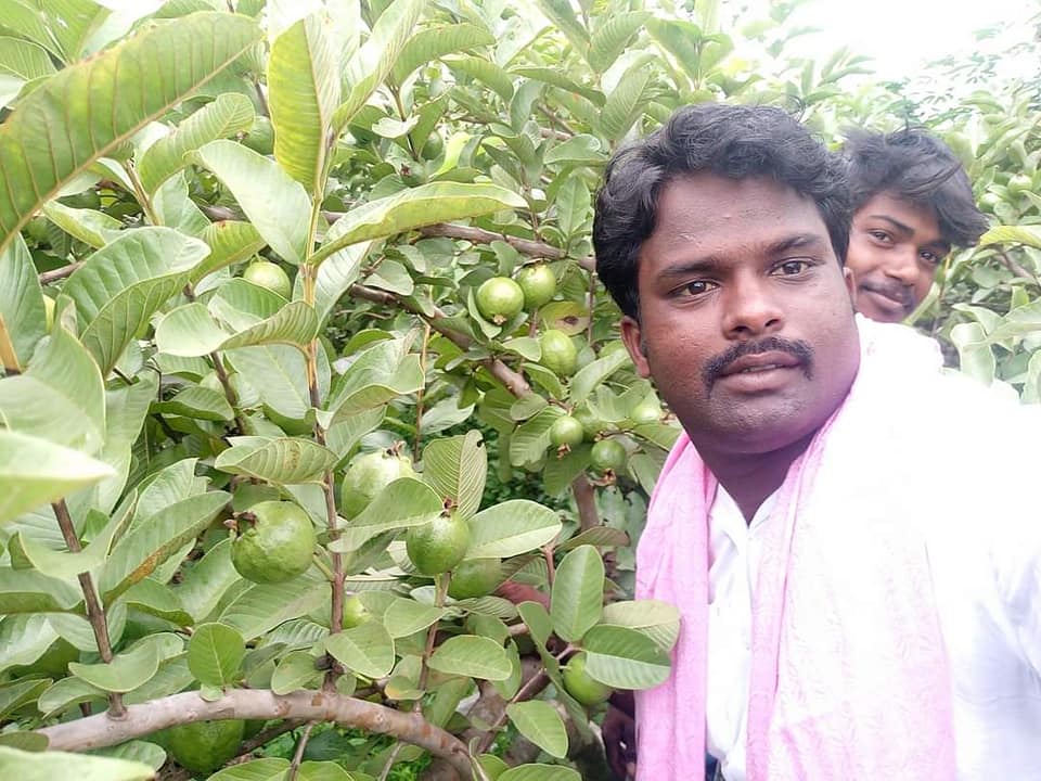 Ponmalar Nursery & Plants | Neyveli