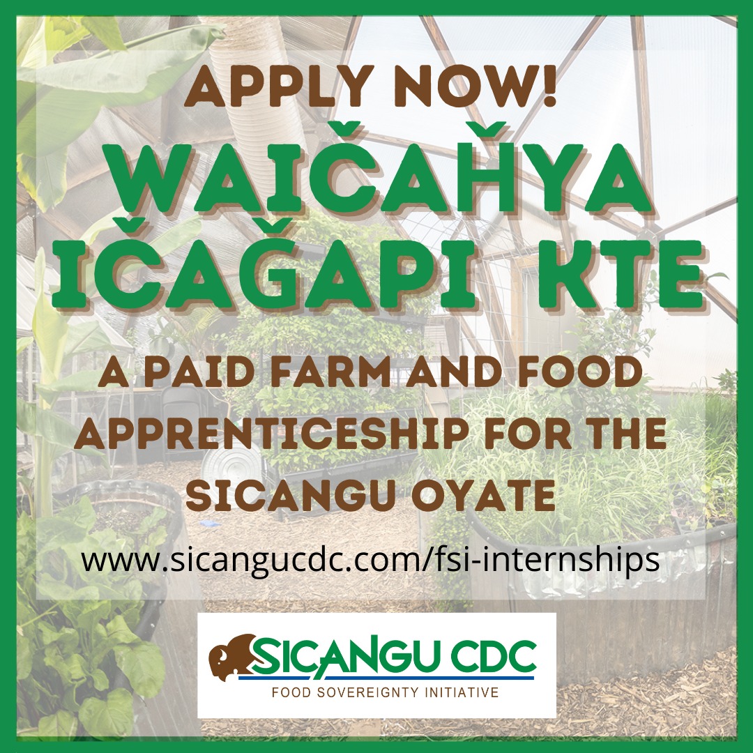 Siċaŋġu Co - 🌱 We're excited to announce that applications are now open ...