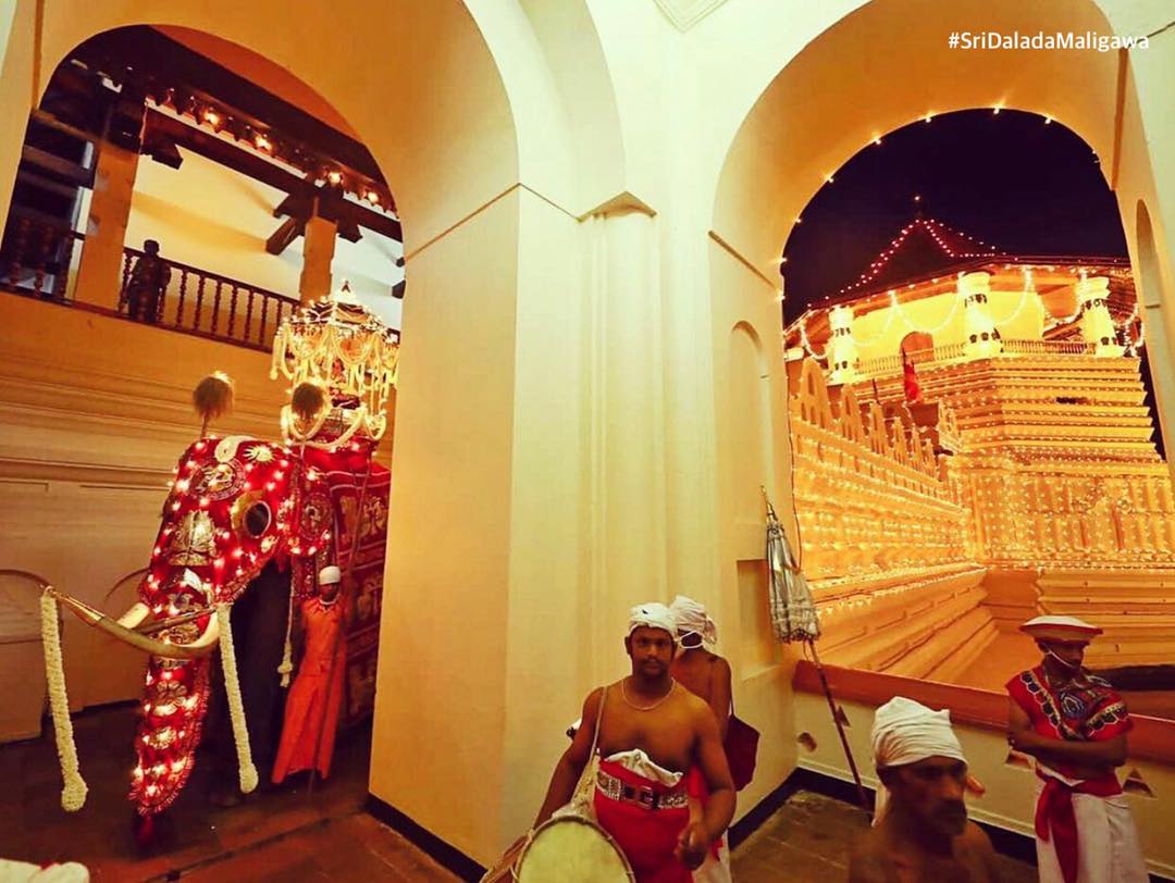 The Royal tusker Indi Raja... - Kandy Esala Perahera 2025 | Facebook