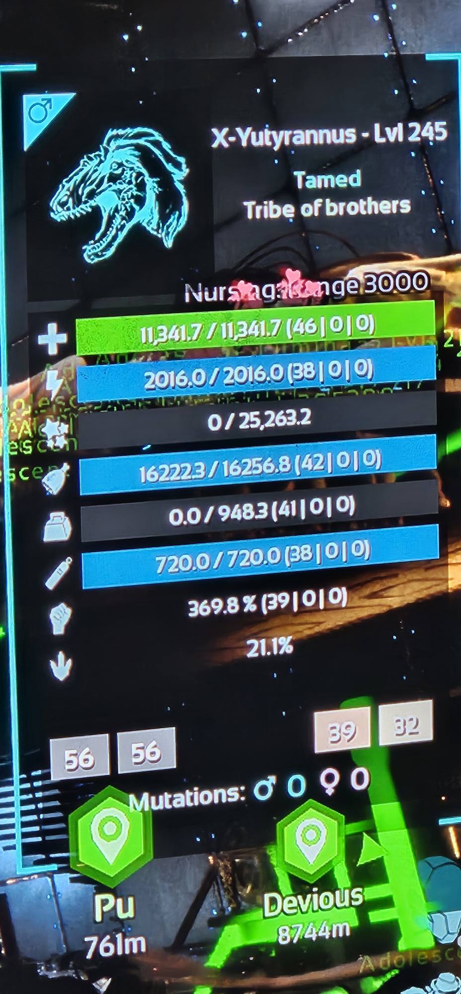 doing clone drops for 600 tek