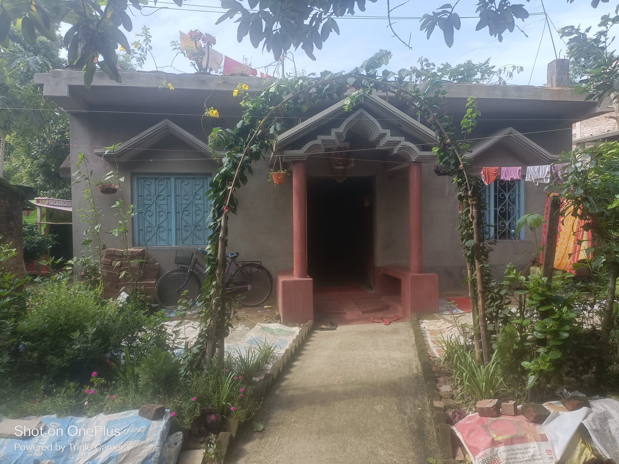 Basudeb Bala