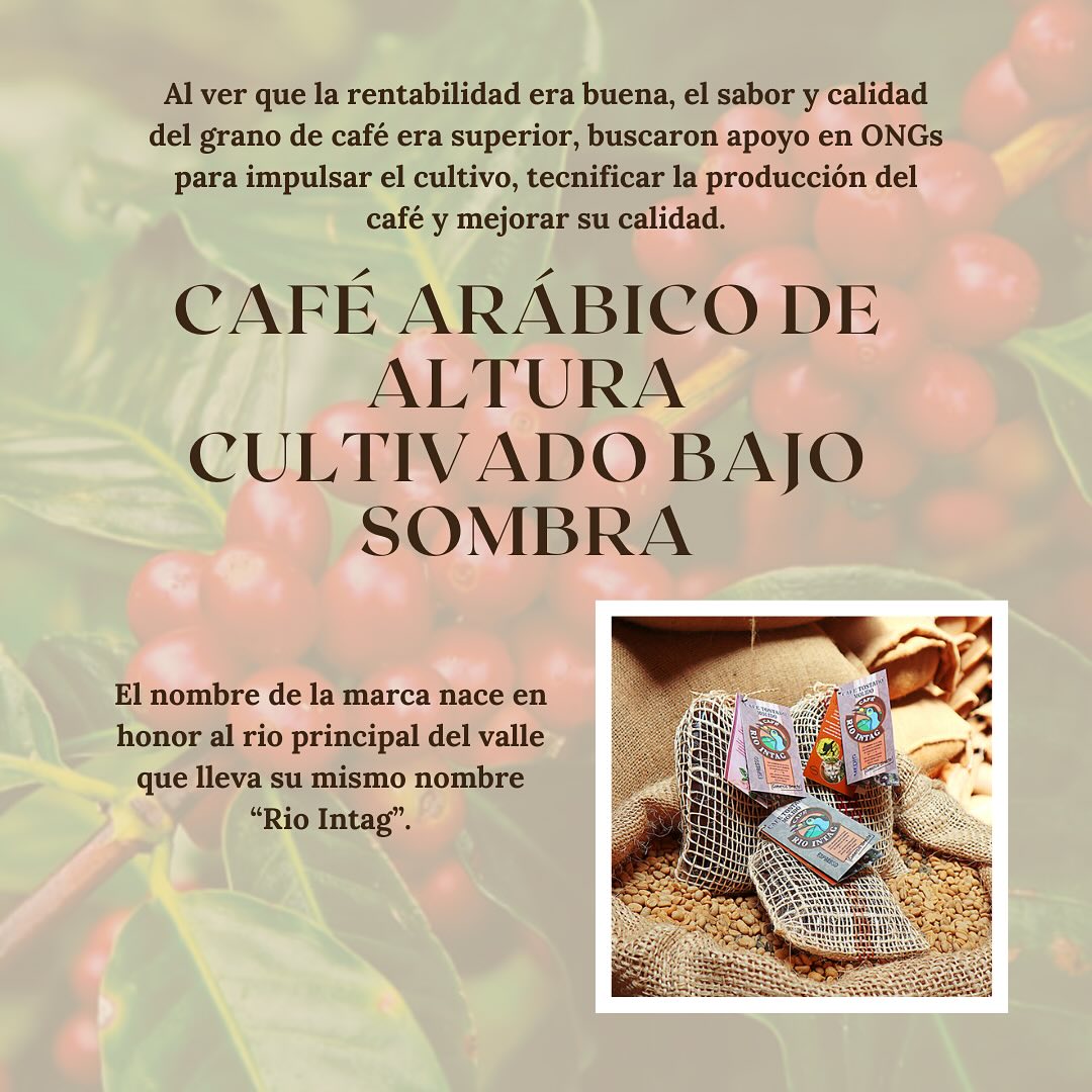 Café Rio Intag AACRI | Apuela
