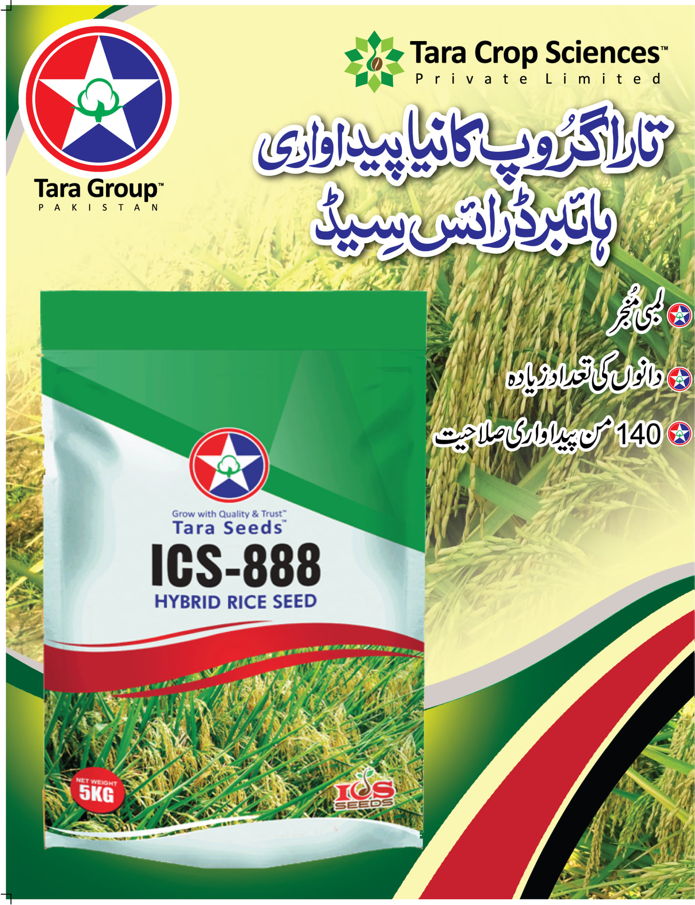 ICS-888 Hybrid Rice Seed Variety... - Tara Group Pakistan | Facebook