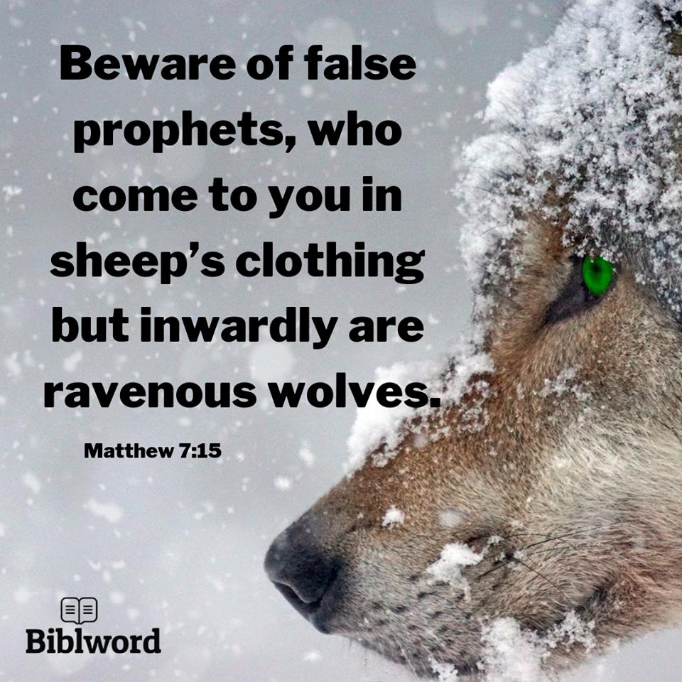 Biblword - Beware of false prophets, who come to you in... | Facebook