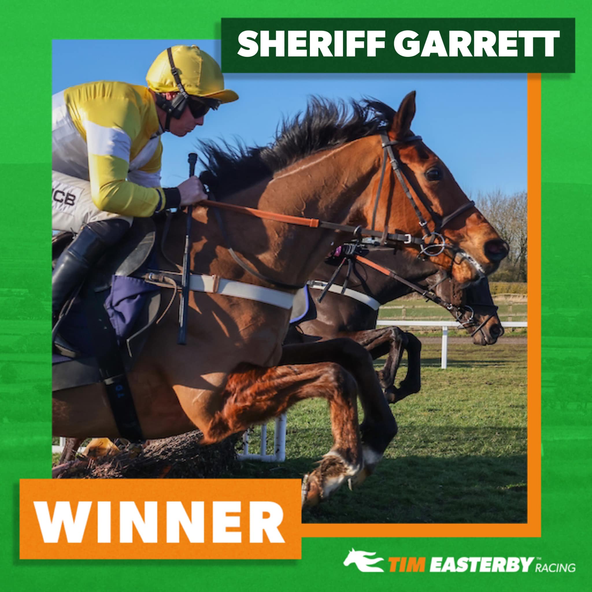 🟢 WINNER! 🟠 SHERIFF GARRETT is back... - Tim Easterby Racing | Facebook