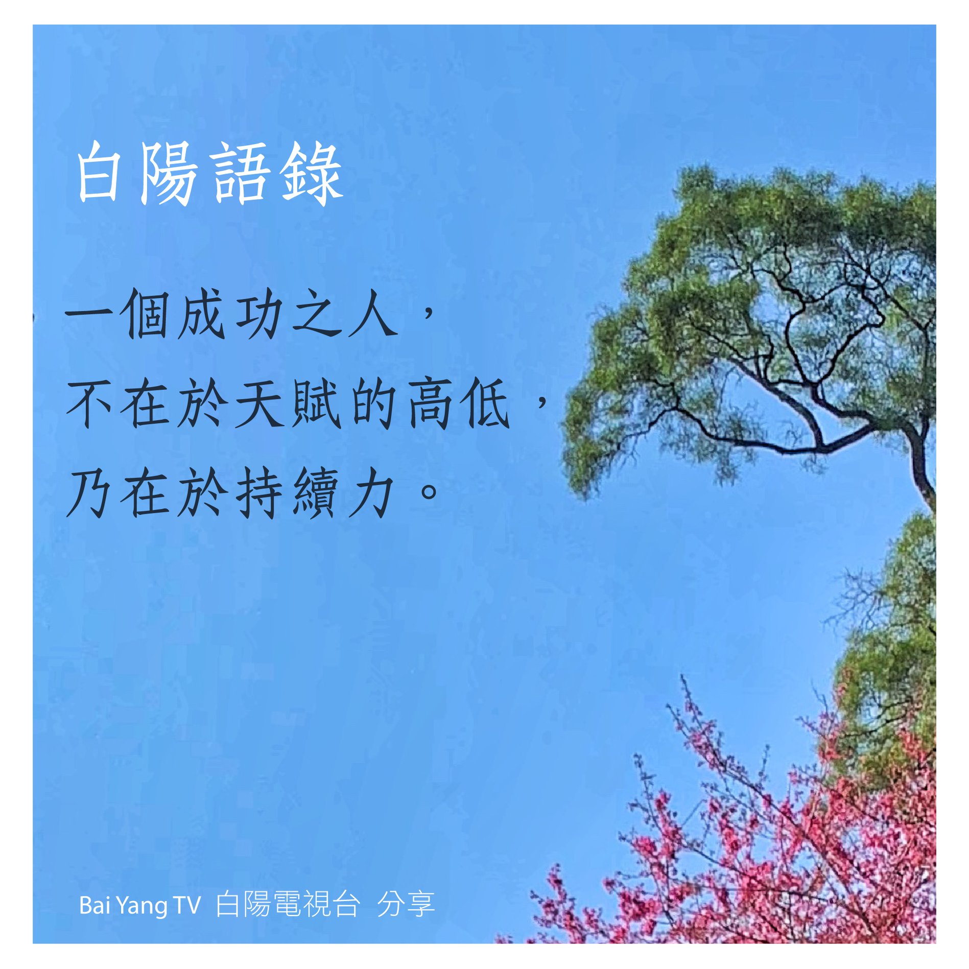 白陽電視台 - 【白陽語錄】 一個成功之人，不在於天賦的高低，乃在於持續力。 歡迎訂閱《 白陽電視TV... | Facebook