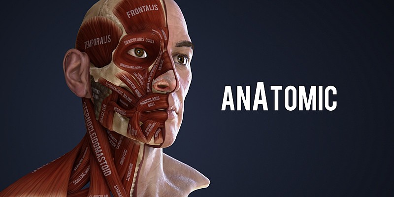 Blender Market - For artists interested in creating...