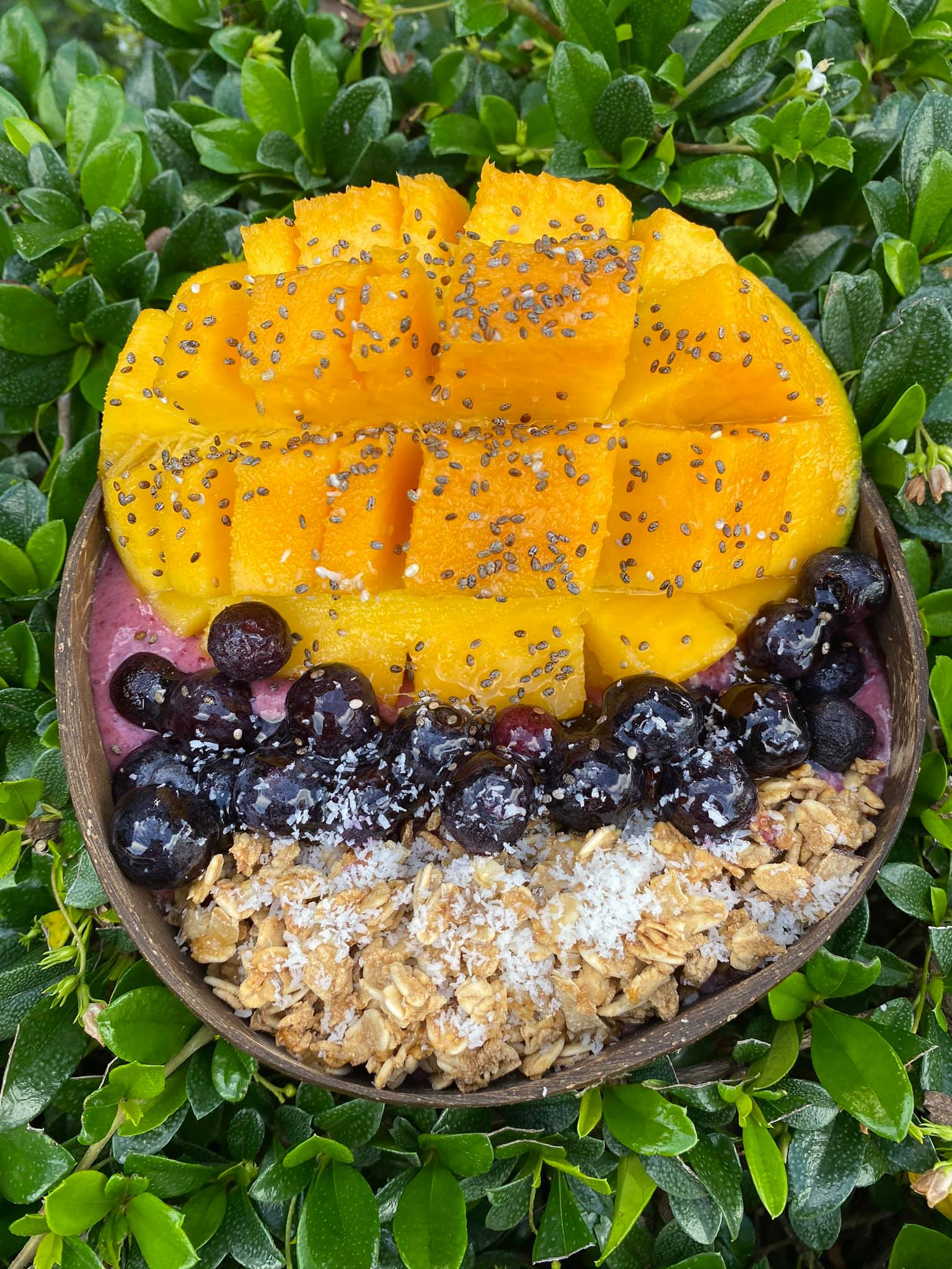 Solfresh - 🌿 Let's Go Week!!! Miren que hermosura de... | Facebook