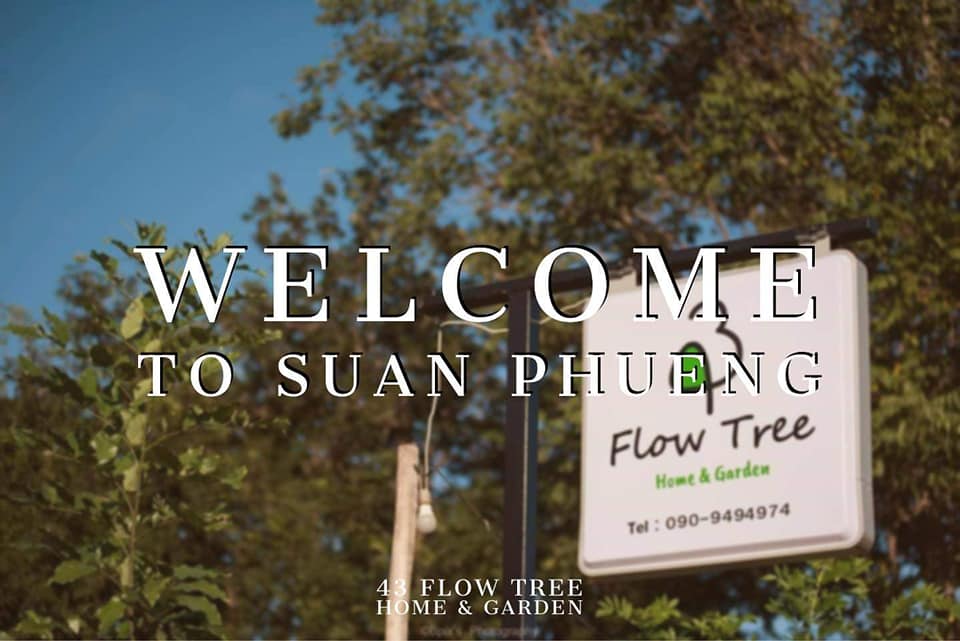🌲🏡🌳🌲🏡🌳 🌳... - 43 Flow tree home&garden โฟล์ทรีรีสอร์ท สวนผึ้ง | Facebook