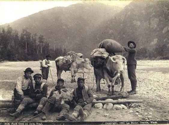 VT Ranch, Gold Rush Program | Castaic CA