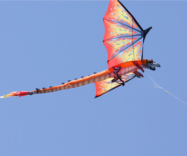Awesome Kites To Fly.