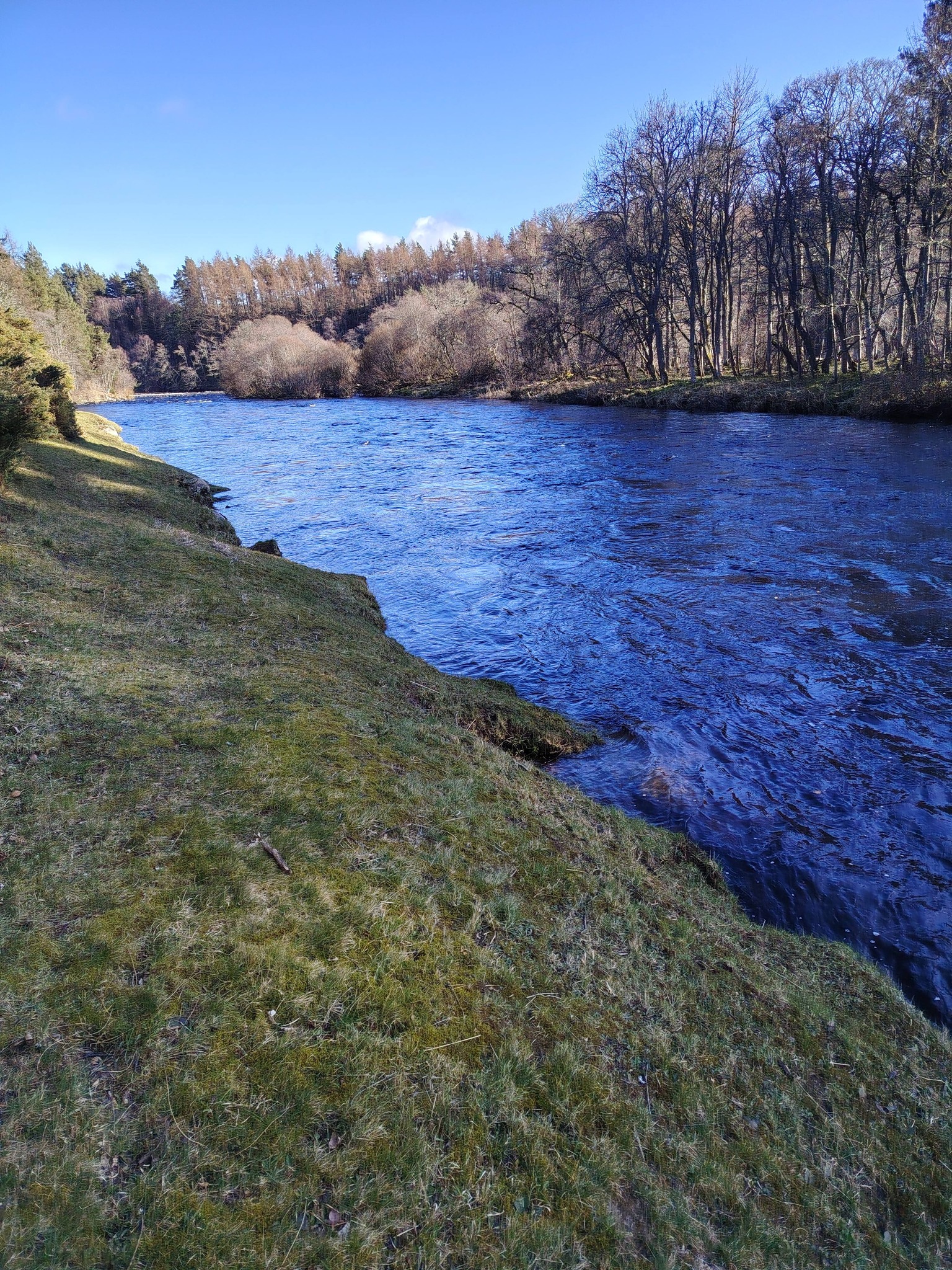 A walk up a bit of the Spey side way this afternoon