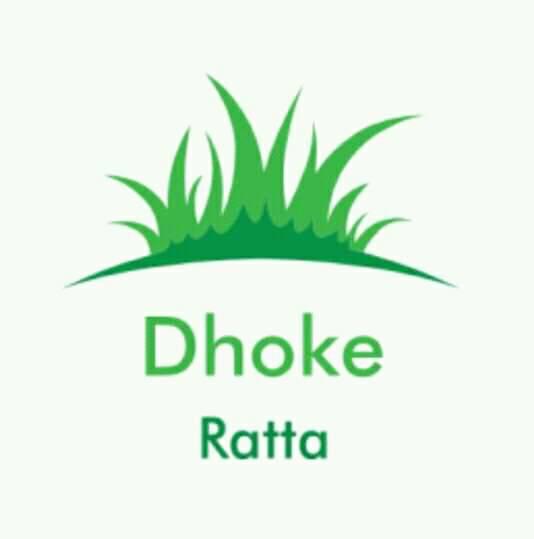 Dhoke Ratta1