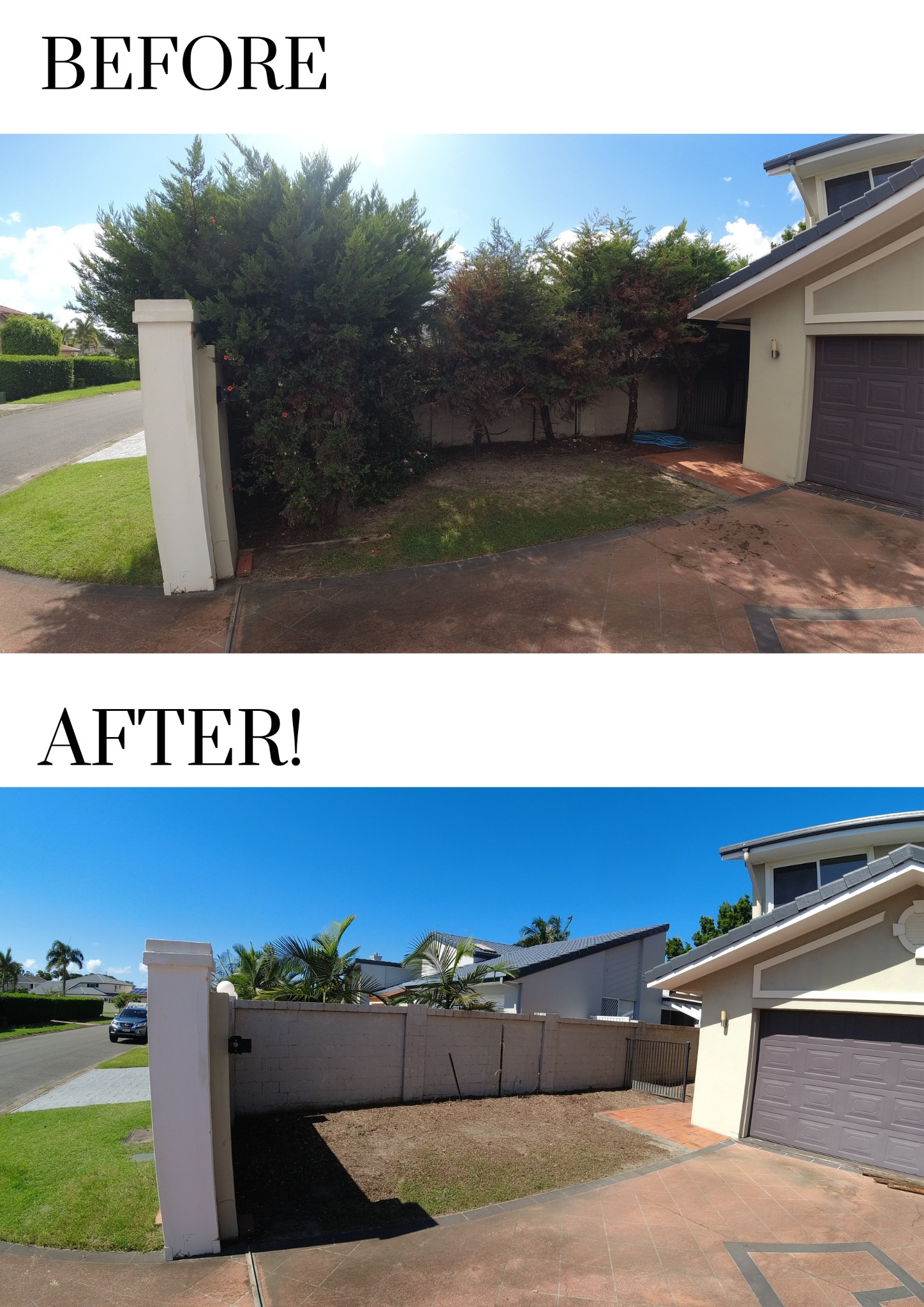 Tip Top Tree Services Gold Coast