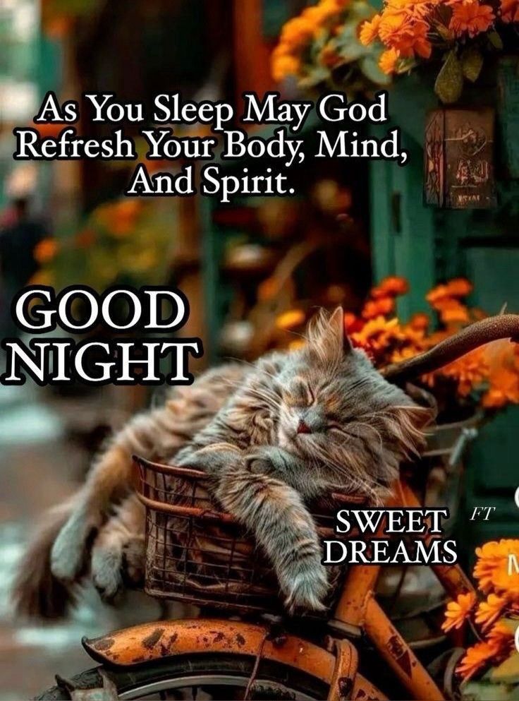 Good Night Sleep Tight Memes