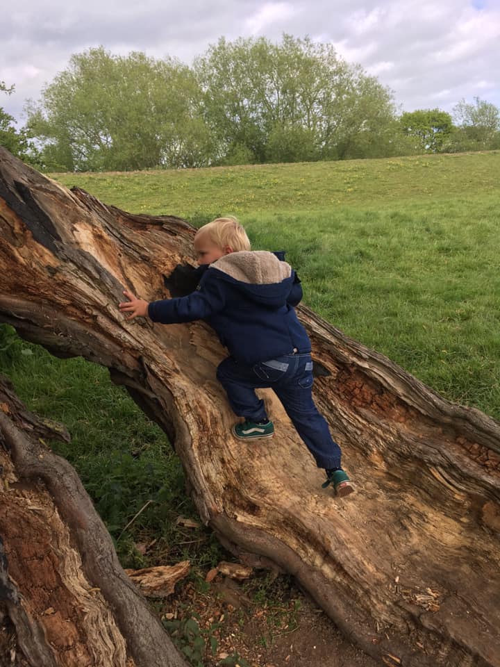 Summat to do - Figham Common Sometimes we don’t realise...