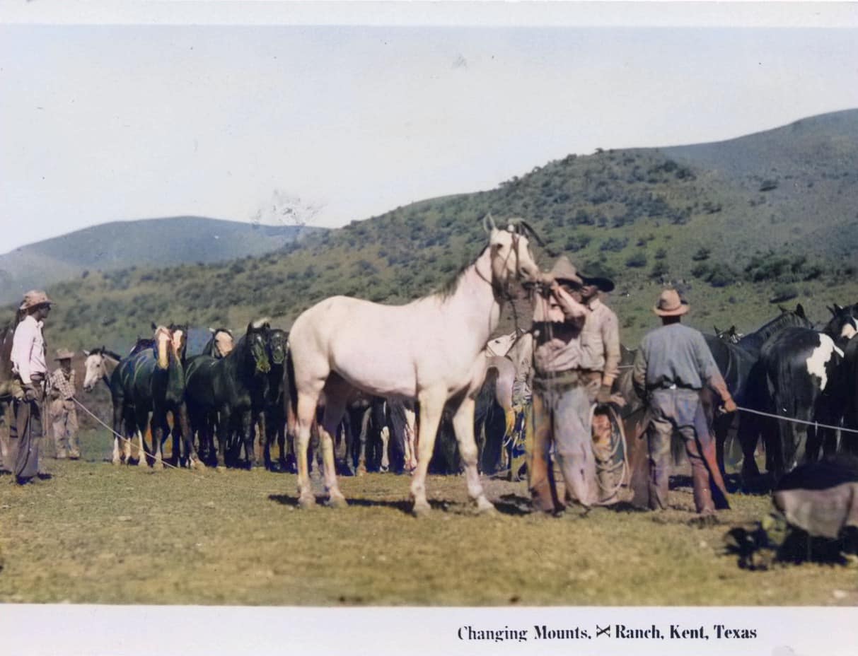 Big Border PTX - Scenes from the Long X Ranch, Kent,...