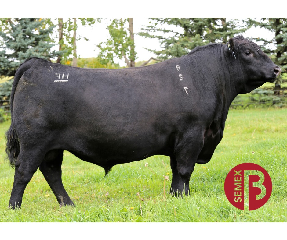 Semex - 0200AN10768 HF Roper 27F is a massive made curve bender ...