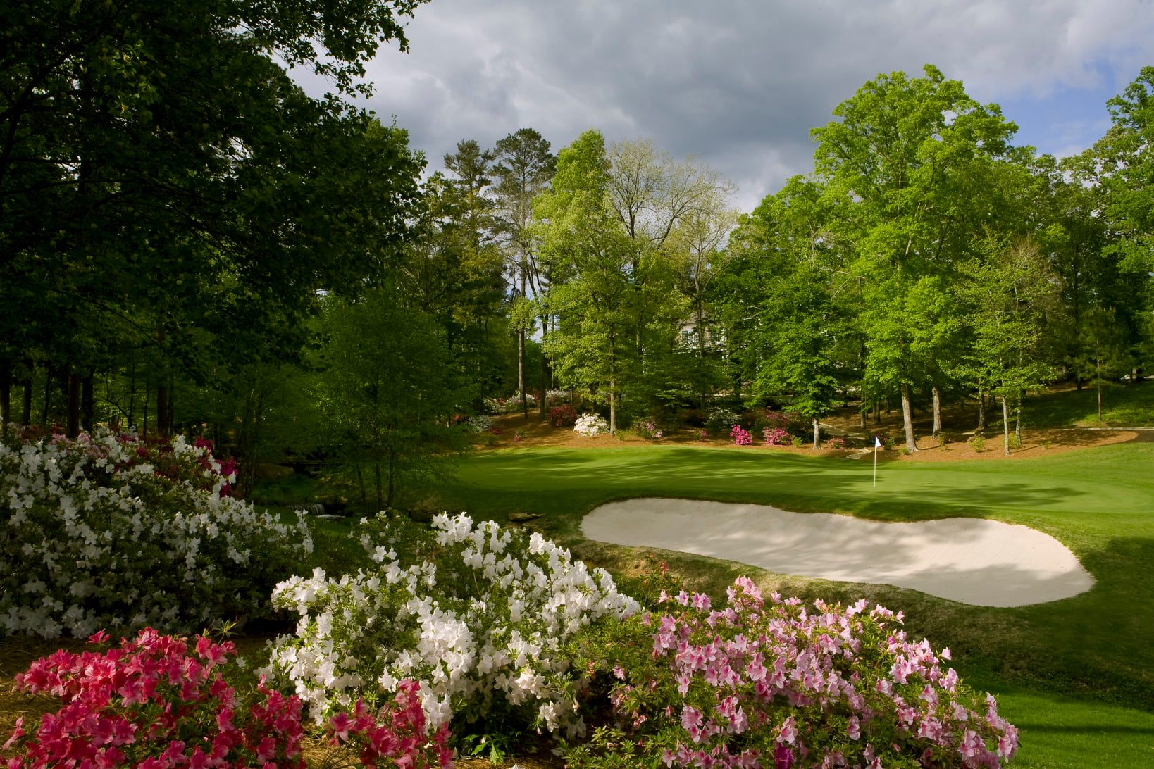 When the azaleas are in full... - Dancing Rabbit Golf Club