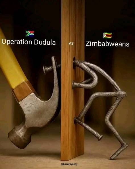 Advocate - Cowards are made in Zimbabwe🇿🇼 | Facebook