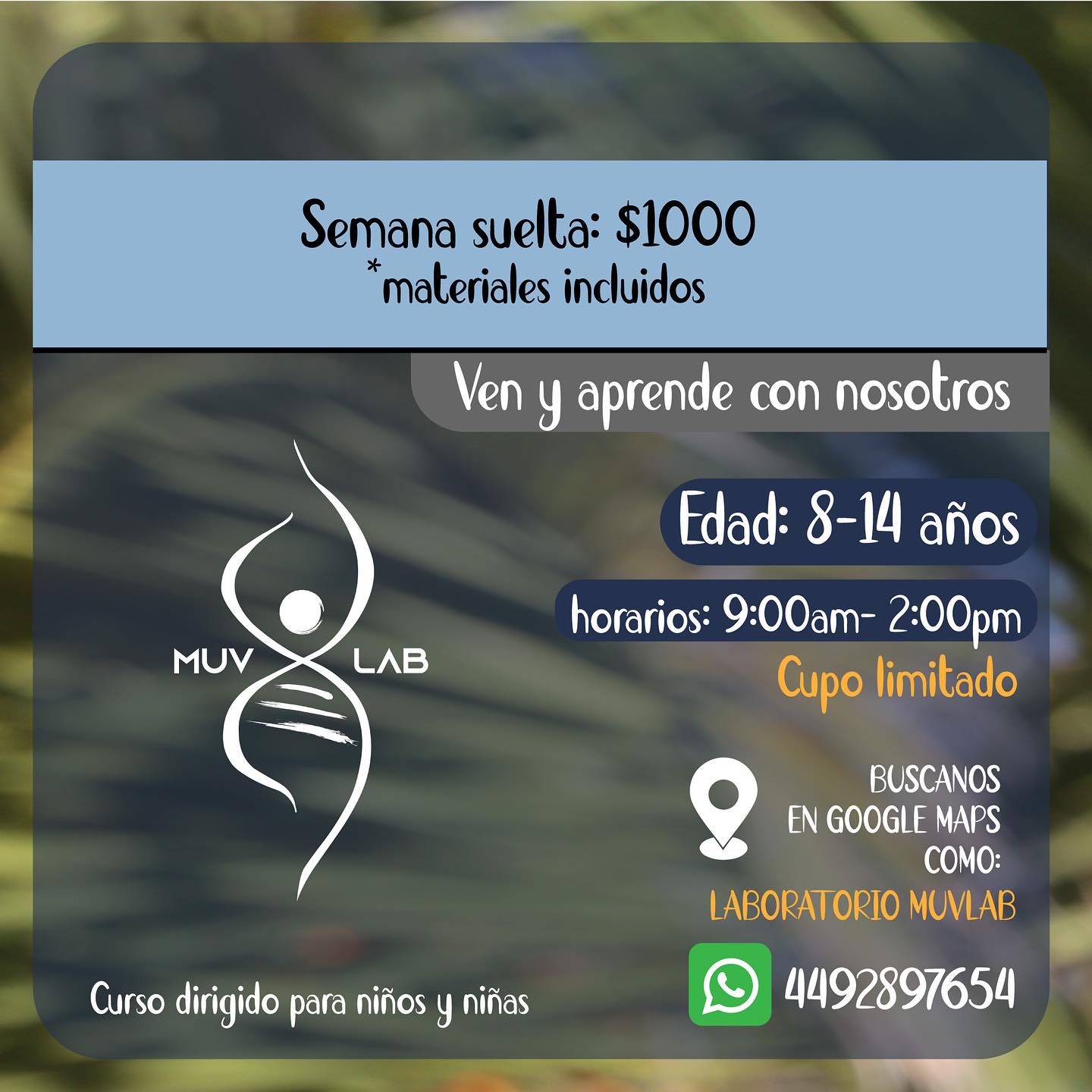 Muv Lab