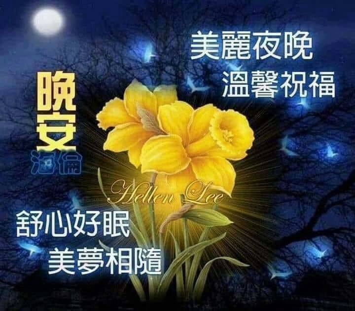 愛分享夢幻世界美圖不限制 | # **夜安，平安舒眠 | Facebook