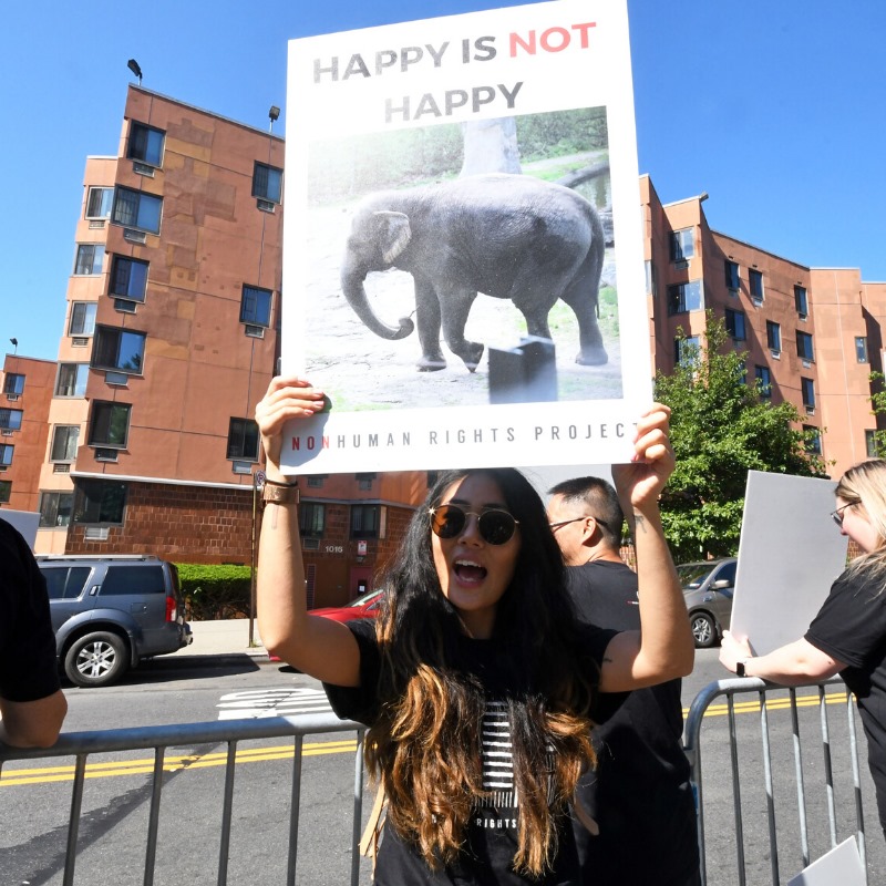 The NhRP's mission and work are... - Nonhuman Rights Project