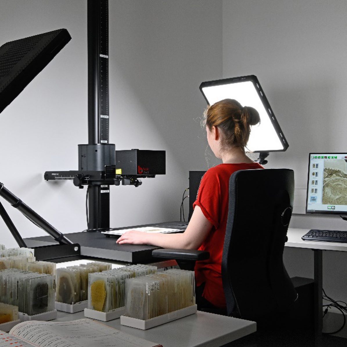 book2net - The #SenkenbergMuseum has received a brand new...