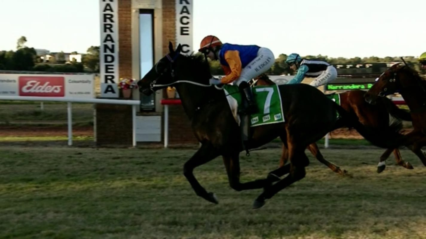 Ledger Racing | Wangaratta VIC