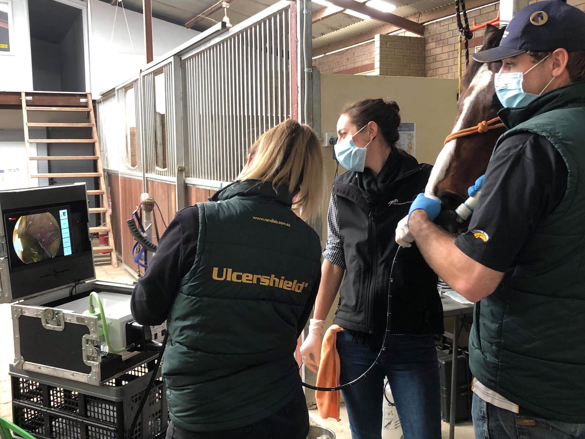 Great day , many thanks to Randlab... - Oldbury Equine Clinic | Facebook