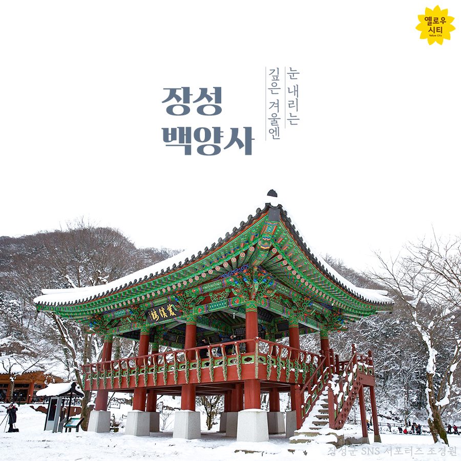 장성군청 - 눈 덮여 장관을 이루는 장성군 백양사입니다~ 랜선 여행 하시고 힐링의 시간 가지세요 😄...