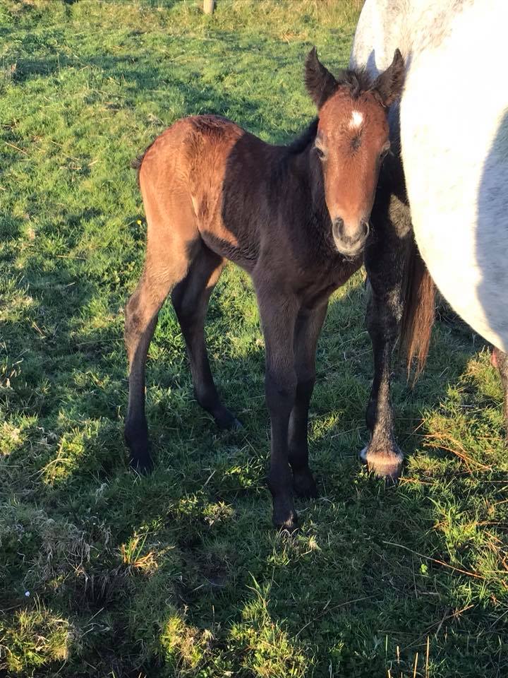 A Delightful little lady and her mom is just fabulous, shes very ...