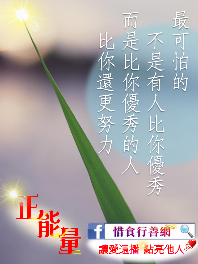 惜食行善網 - #惜食正能量 〖惜食行善網〗讓你可以隨時隨地、舉手之勞做善事... | Facebook