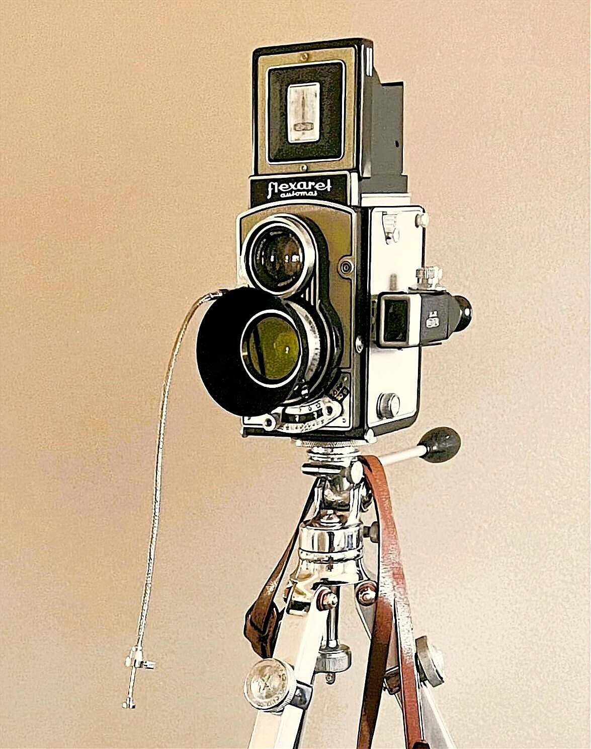 Flexaret VI Belar 3,5/80 Fomapan 100@50 It's great camera for