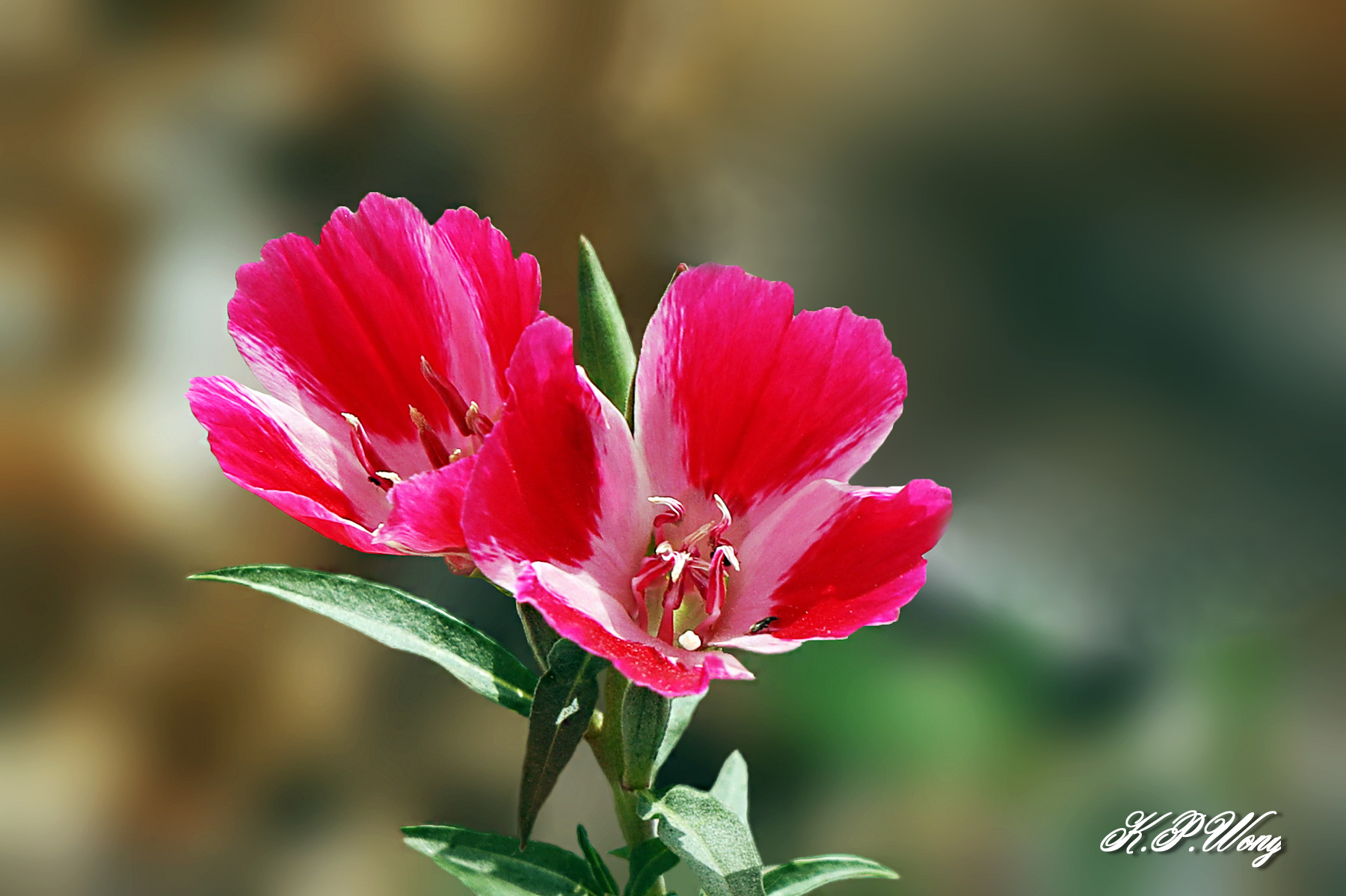Canon EOS R1/R3/R5/R6/R7/R8/R10/R50/R/RP/M 無反俱樂部 | 全程使用 canon R5 鏡頭：28 ...