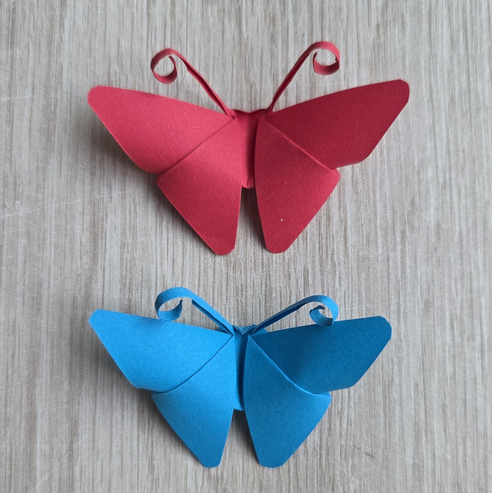 How to cut ️ paper ladybug 🐞 #papercraft #diy | Romduol Kh