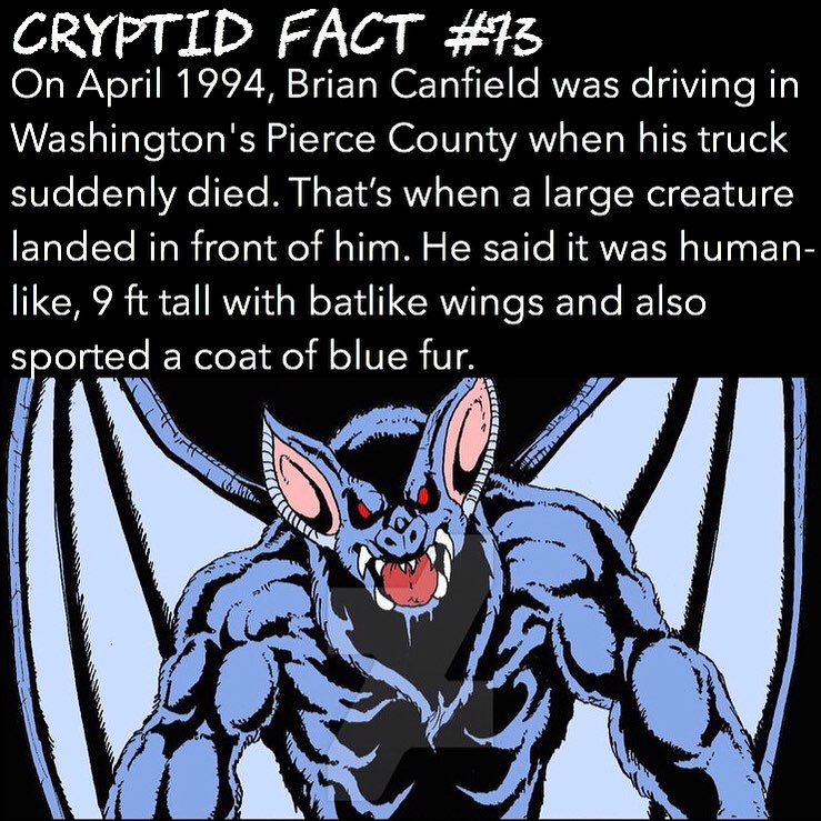 Cryptid Campfire - Is the Batsquatch of Mt. Saint Helens a hoax or is ...