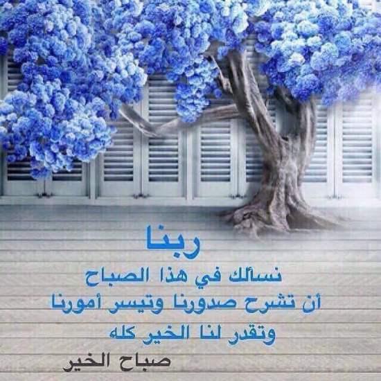 الطب البديل العربي صباح المطر والبرد وجمعه مباركه يا رب مين من المتابعين عندهم مطر ومن عندهم شمس وحر ذكر البلد فلسطين مطر الخير وبرد فيسبوك