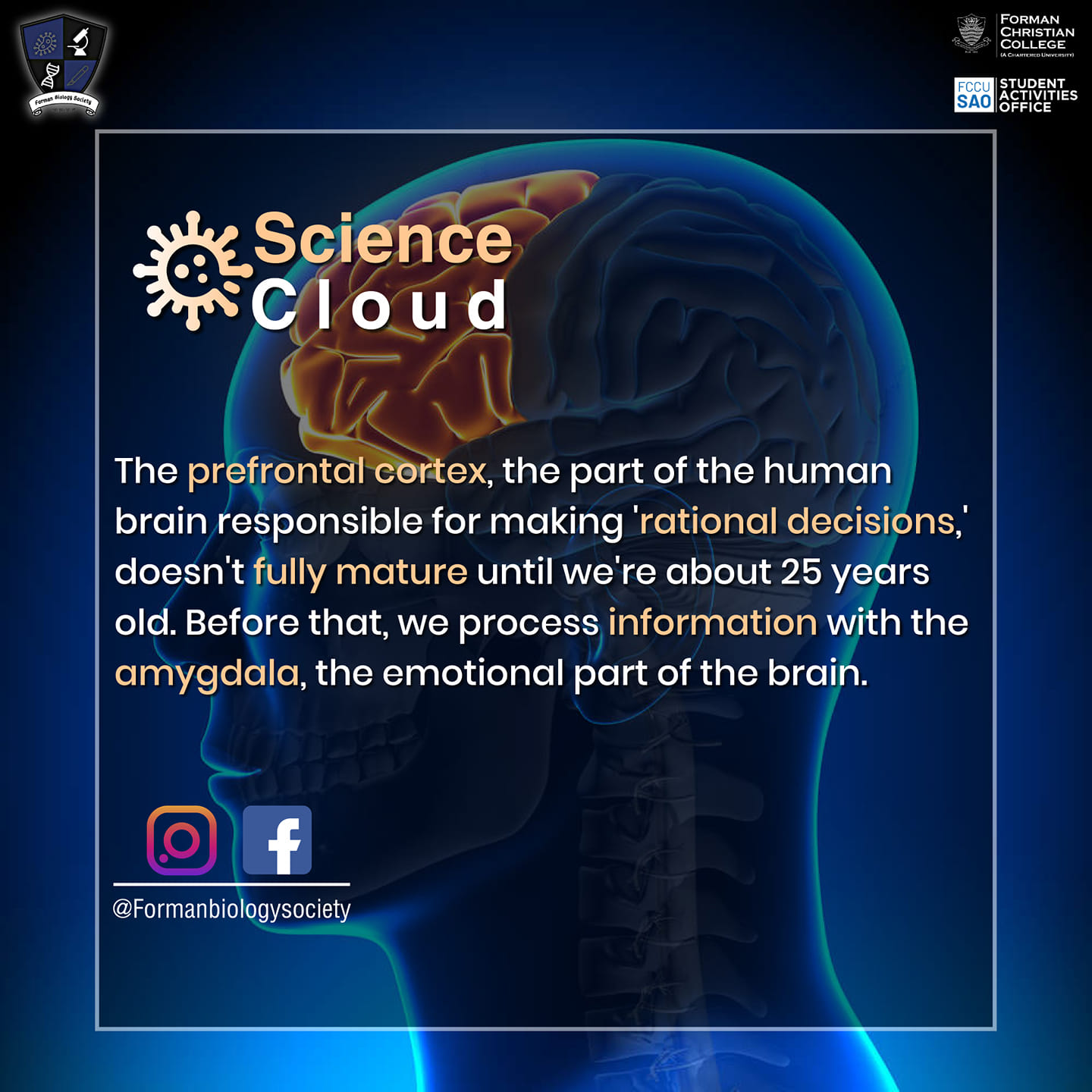 The prefrontal cortex (PFC) is... - Forman Biology Society | Facebook
