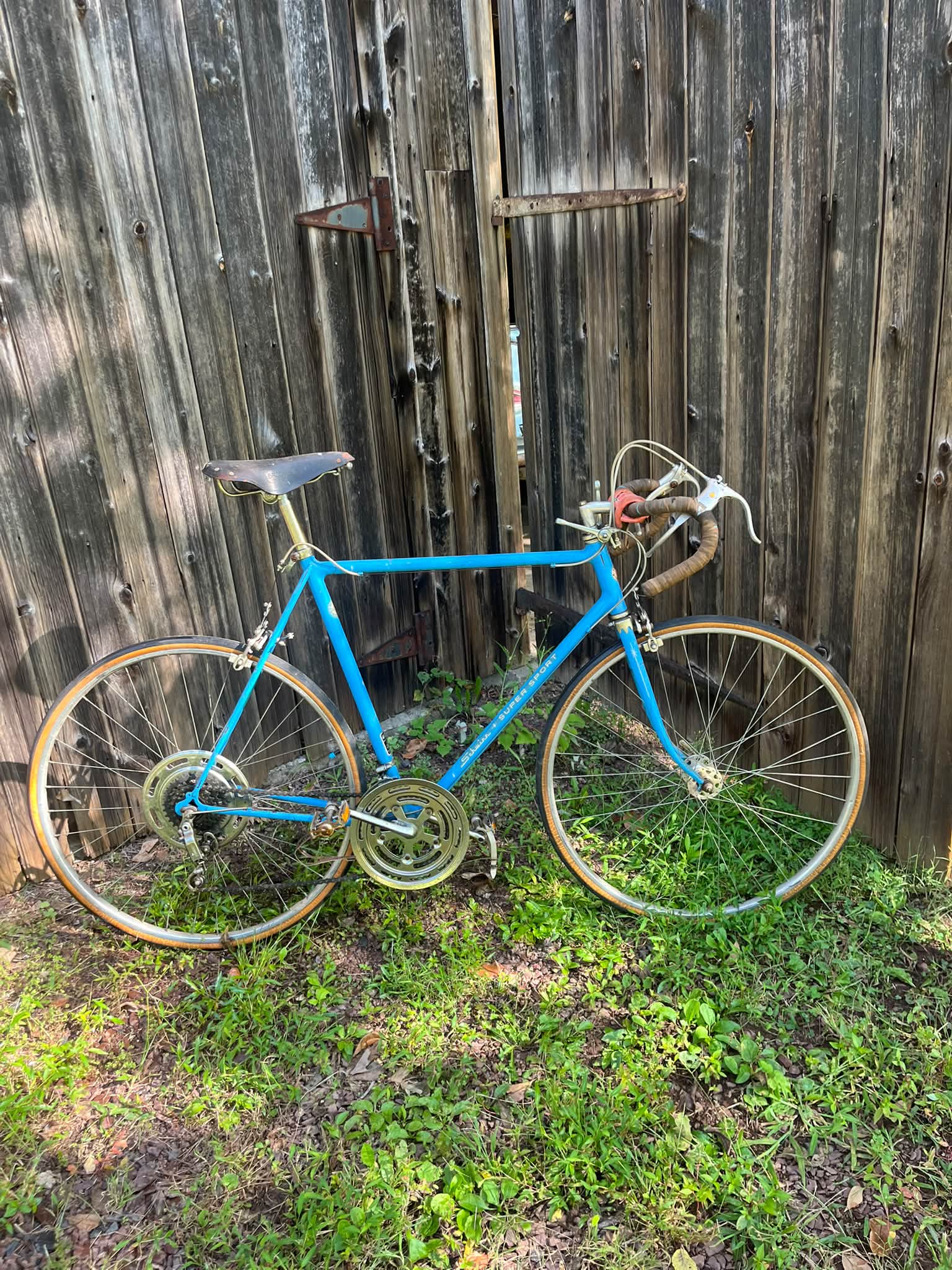 Information on early 1970s Schwinn Super Sport with chromemolly frame